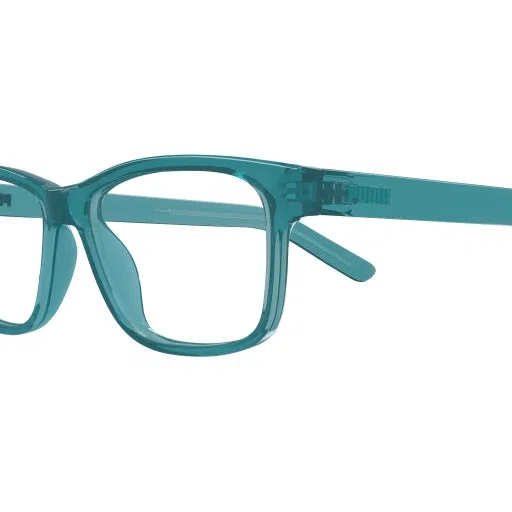 Puma PJ0082O Eyeglasses - view 6